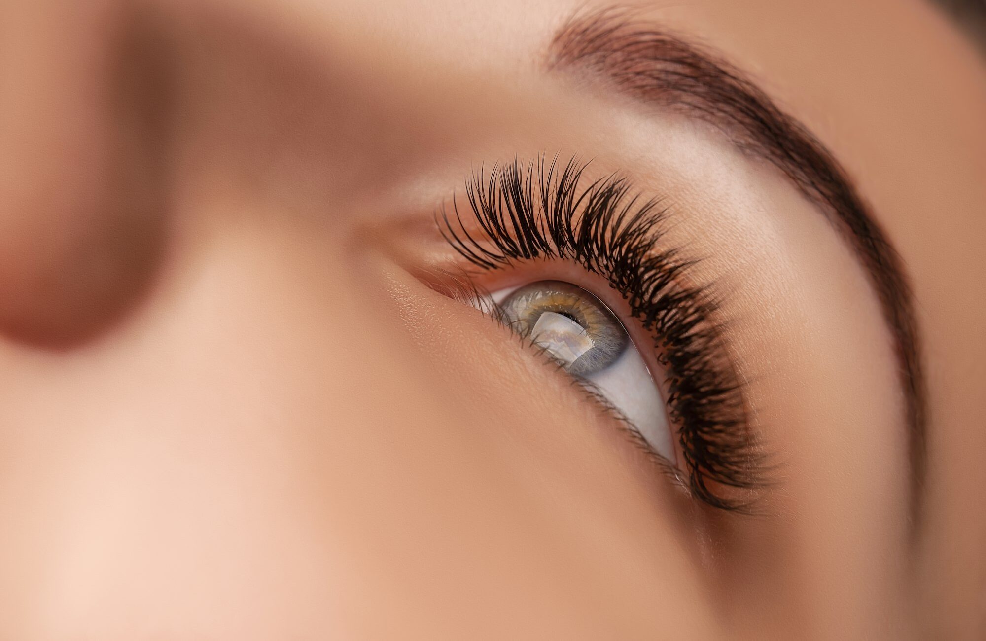 Eyelash Extension Procedure. Woman Eye with Long Eyelashes. Close up, selective focus